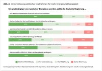 Abb. 4: Unterstützung politischer Maßnahmen für mehr Energieunabhängigkeit