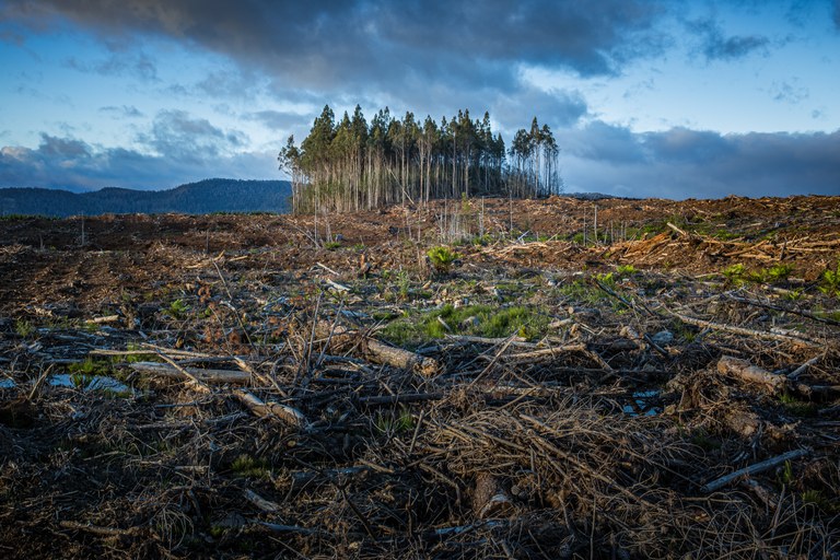 Klimawandel